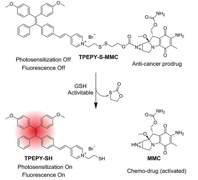 TPEPY-S-MMC的化學結構，以及藥物和光動力學機理