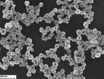 檸檬酸鈉修飾的金納米籠 Citrate-coated Au nanocages