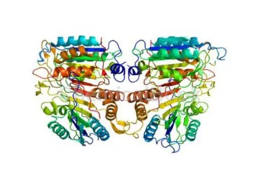 生物素、瓊脂糖、羅丹明標記荊豆凝集素Ulex Europaeus Agglutinin I