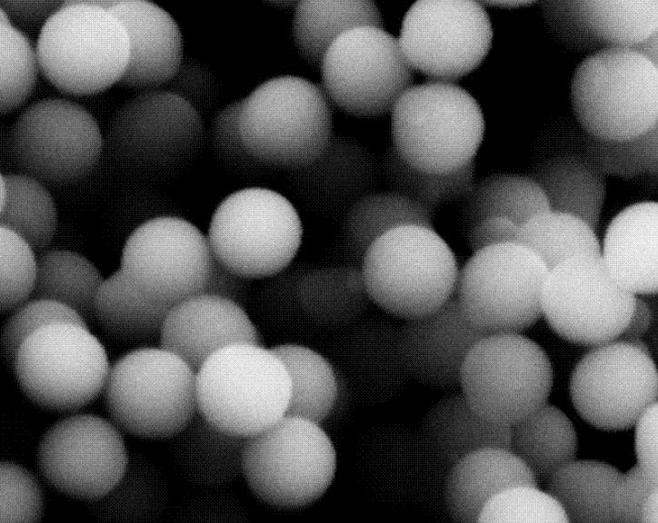 PEG化Fe3O4顆粒;25nm;PEG@Fe3O4