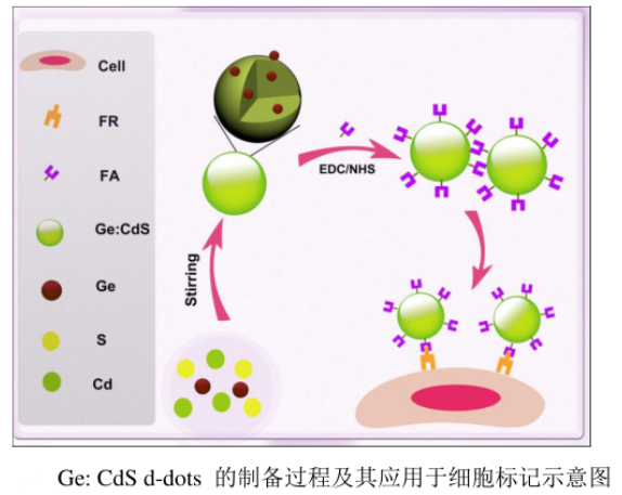 水溶性鍺摻雜硫化鎘量子點(diǎn)