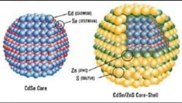 PEG-COOH修飾油溶性CdSe/ZnS量子點