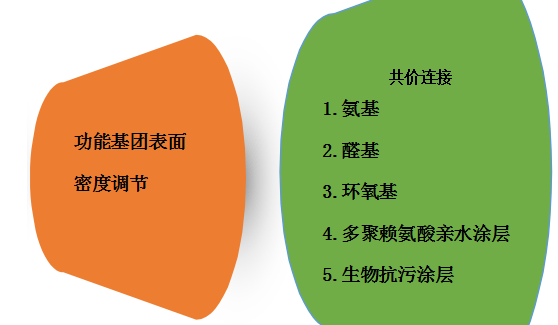 多聚賴氨酸，氨基，醛基修飾的載玻片